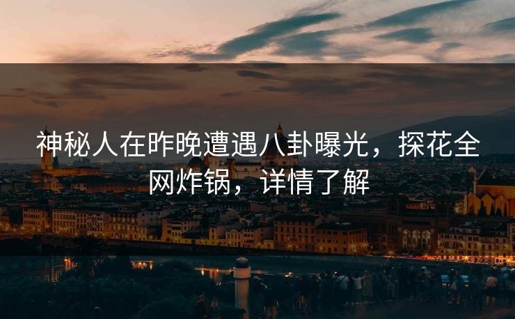 神秘人在昨晚遭遇八卦曝光，探花全网炸锅，详情了解