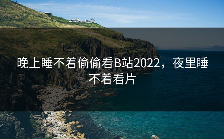 晚上睡不着偷偷看B站2022，夜里睡不着看片