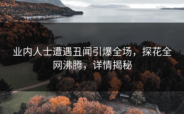 业内人士遭遇丑闻引爆全场，探花全网沸腾，详情揭秘