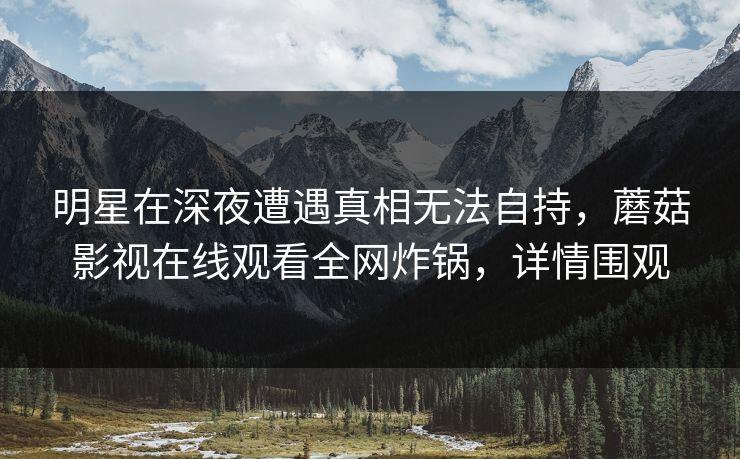 明星在深夜遭遇真相无法自持，蘑菇影视在线观看全网炸锅，详情围观
