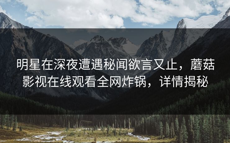 明星在深夜遭遇秘闻欲言又止，蘑菇影视在线观看全网炸锅，详情揭秘