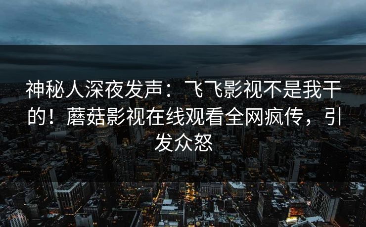 神秘人深夜发声:飞飞影视不是我干的!蘑菇影视在线观看全网疯传,引发众怒